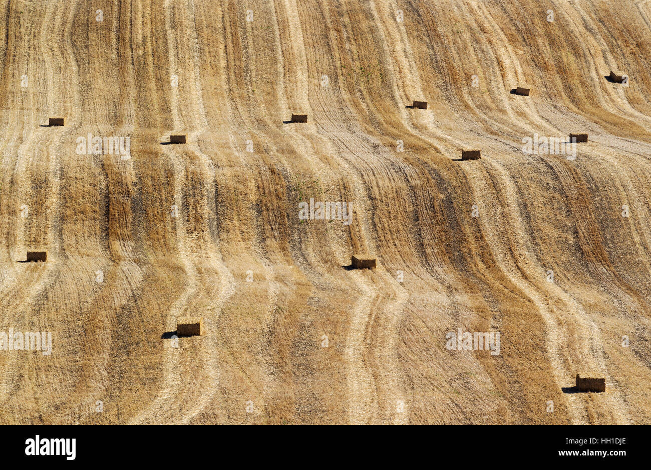 Bales of straw and abstract patterns in cornfield after wheat harvest ...