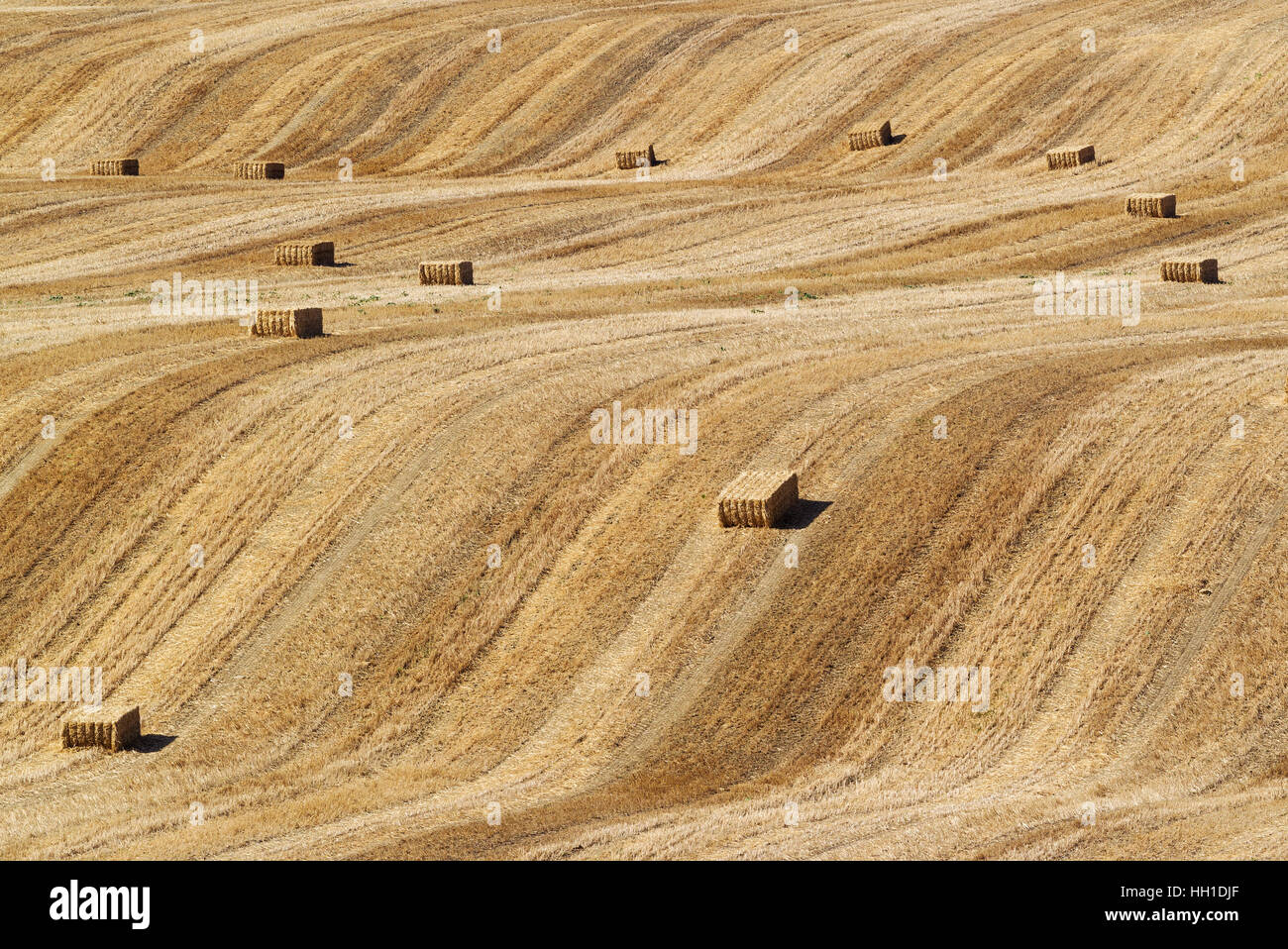 Bales of straw and abstract patterns in cornfield after wheat harvest, Cordoba province, Andalusia, Spain Stock Photo