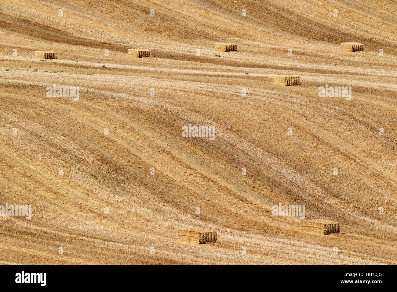 Bales of straw and abstract patterns in cornfield after wheat harvest ...