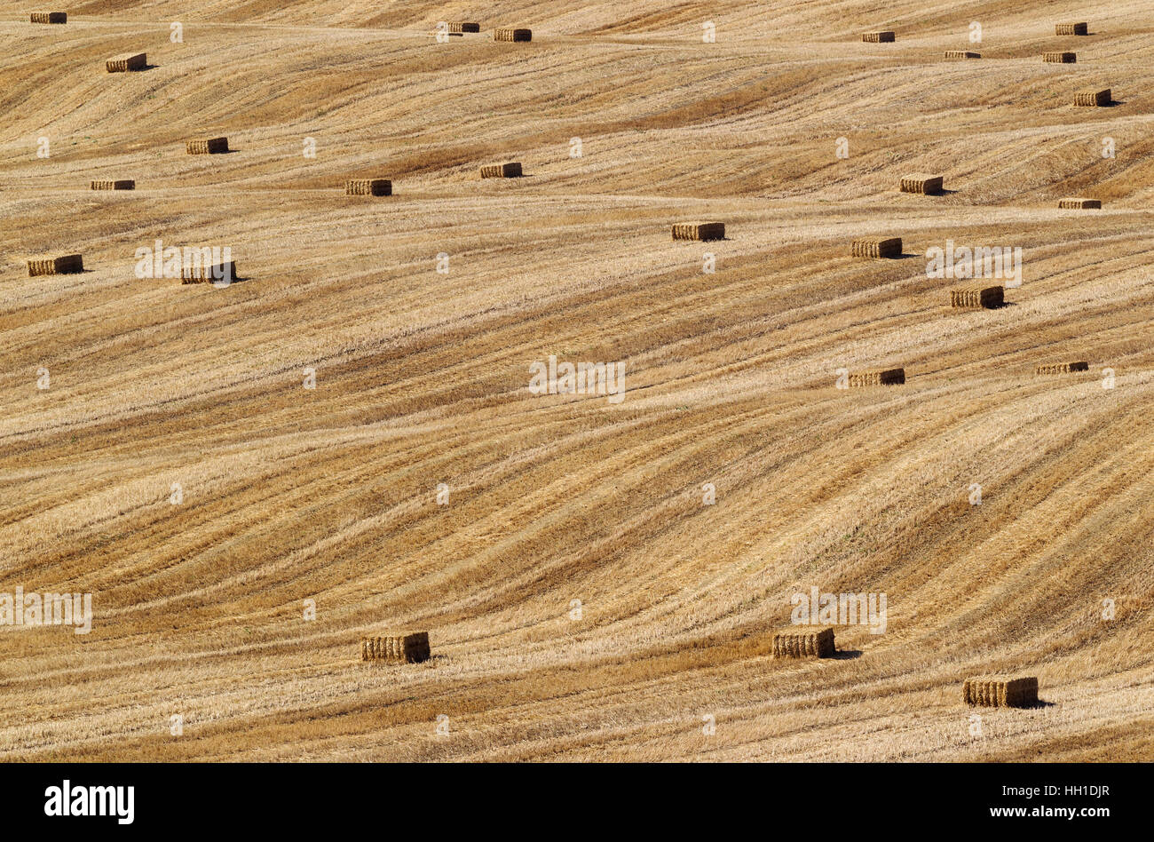 Bales of straw and abstract patterns in cornfield after wheat harvest ...