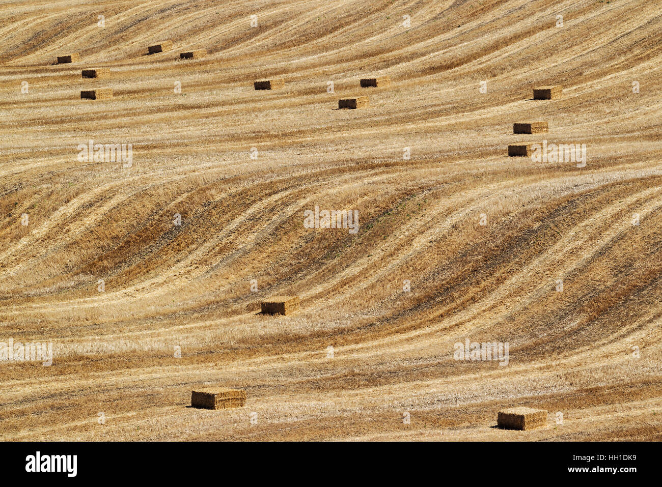 Bales of straw and abstract patterns in cornfield after wheat harvest ...