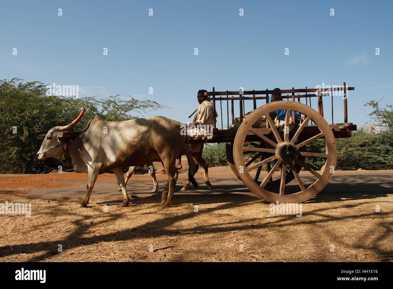 Rural transport, Karnataka, India, Asia Stock Photo Alamy