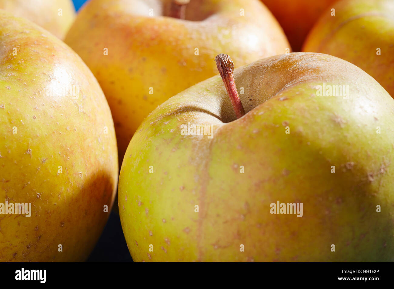Goldrush Apples, an heirloom variety from Pennsylvania, USA Stock Photo