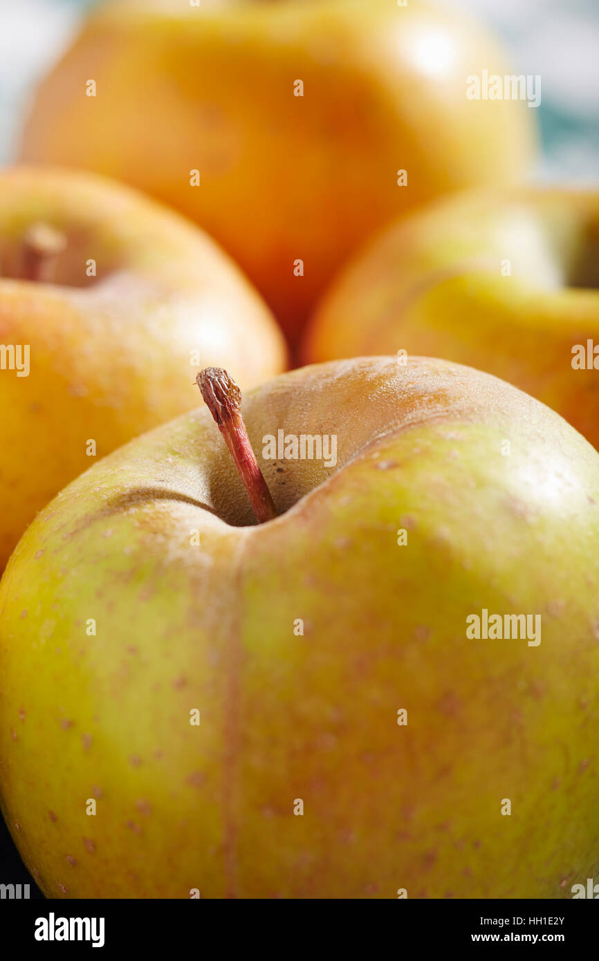 Goldrush Apples, an heirloom variety from Pennsylvania, USA Stock Photo