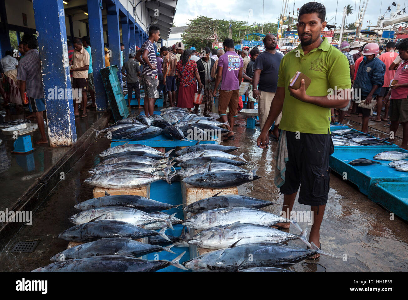 Sri lankan fish market hires stock photography and images Alamy