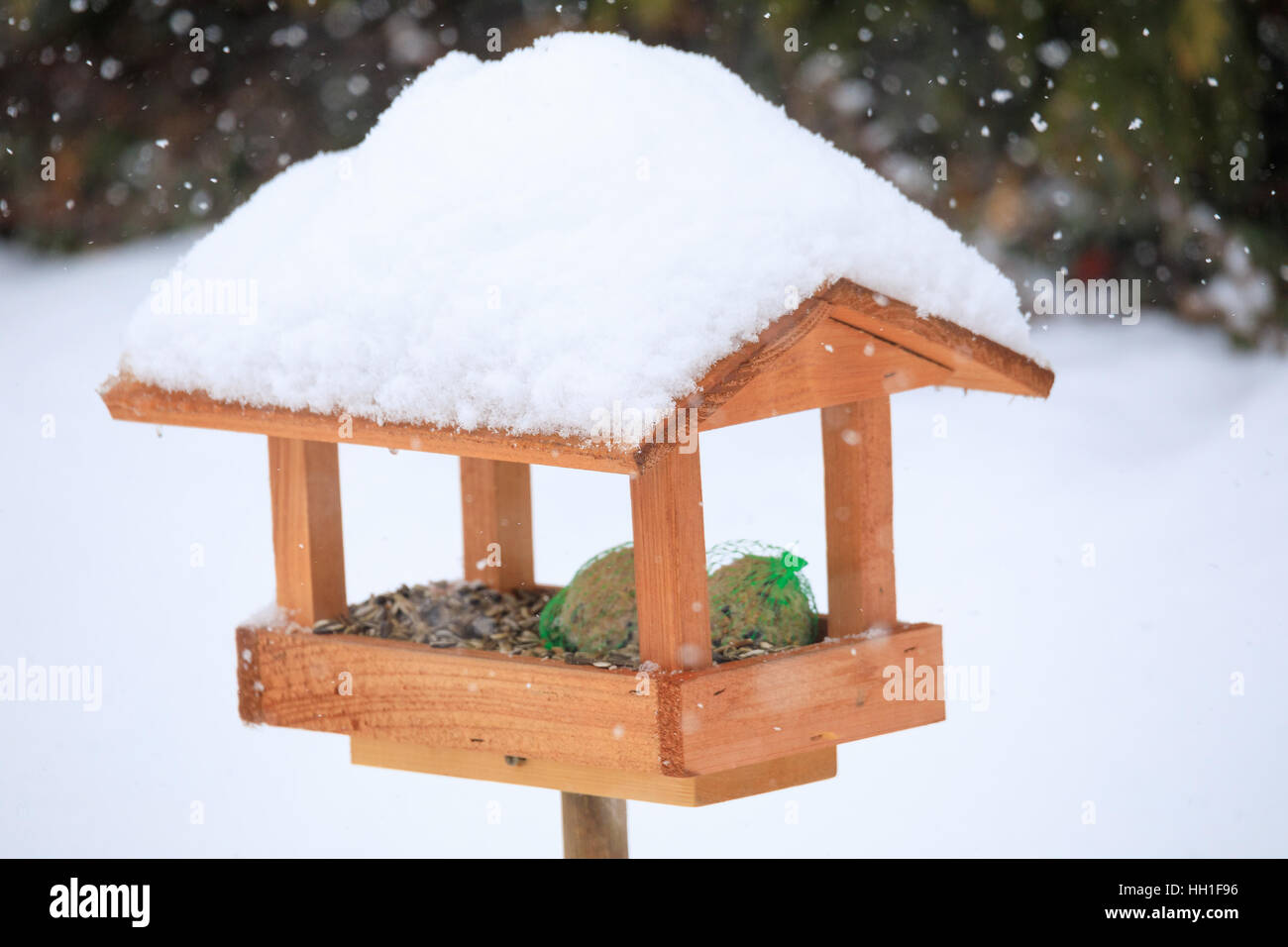 simple homemade wooden bird feeder, birdhouse installed on ...