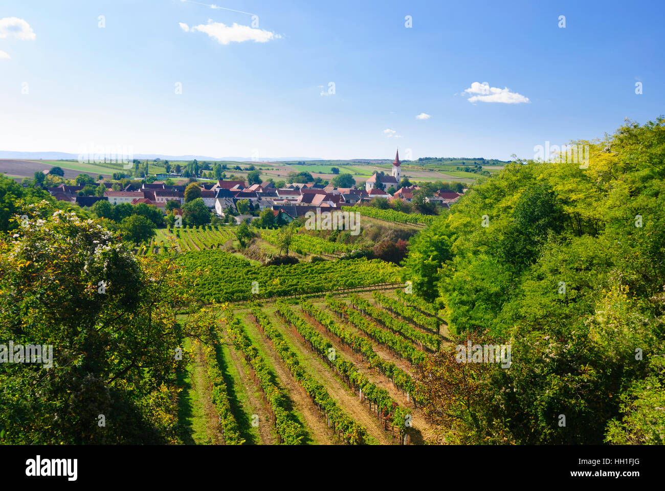 Großriedenthal: view to Großriedenthal, vineyard vineyards Wagram, Weinviertel, Niederösterreich, Lower Austria, Austria Stock Photo