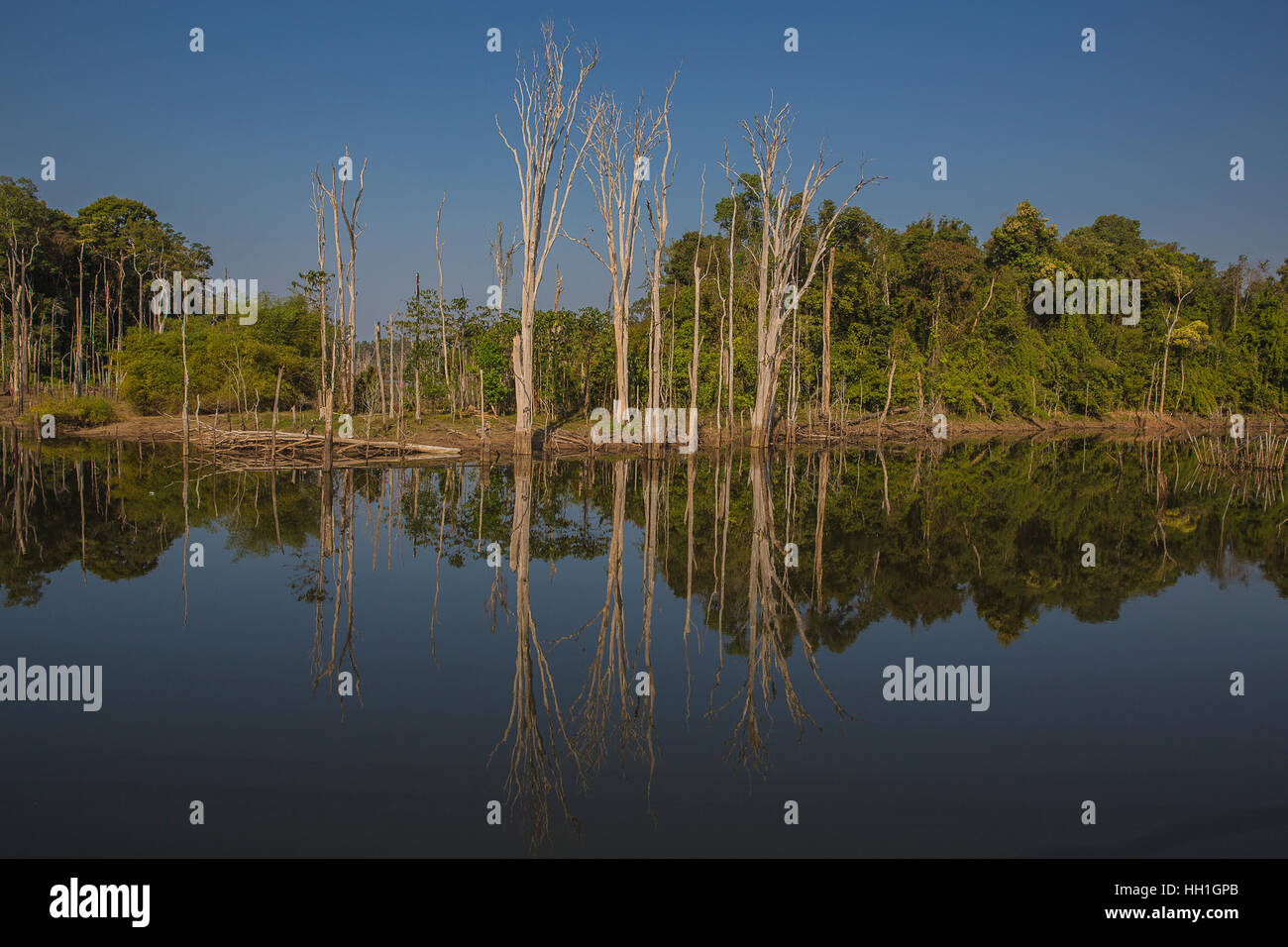 Traveling by hired motorbike on the Thakhek Loop in Laos, reflections of a flooded land Stock Photo