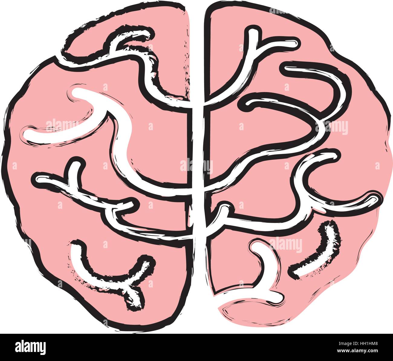 Isolated human brain icon vector illustration graphic design Stock ...