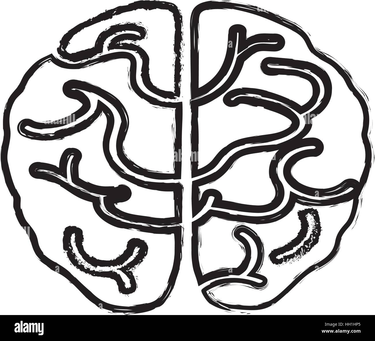 Isolated human brain icon vector illustration graphic design Stock ...