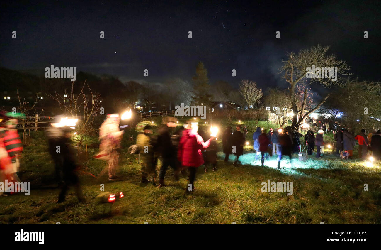 Villagers and National Trust rangers walk through the village orchard as they take part in a wassail on the National Trust Slindon Estate, West Sussex. Stock Photo
