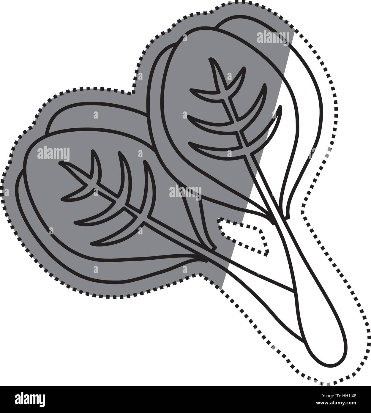 Spinach healthy food icon vector illustration graphic design Stock ...