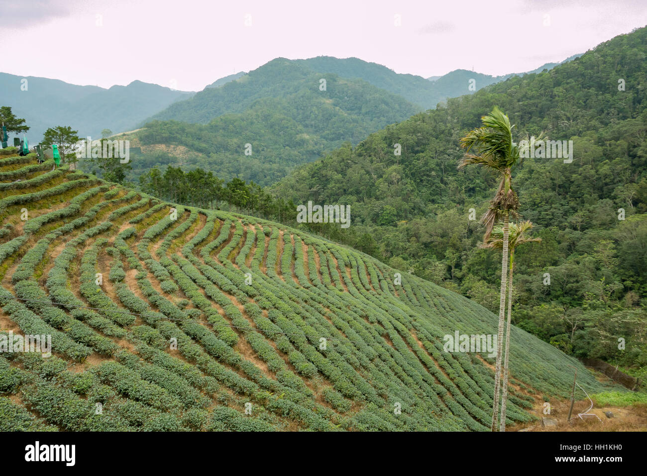 The beautiful Thousand Island Lake of New Taipei City, Taiwan Stock Photo