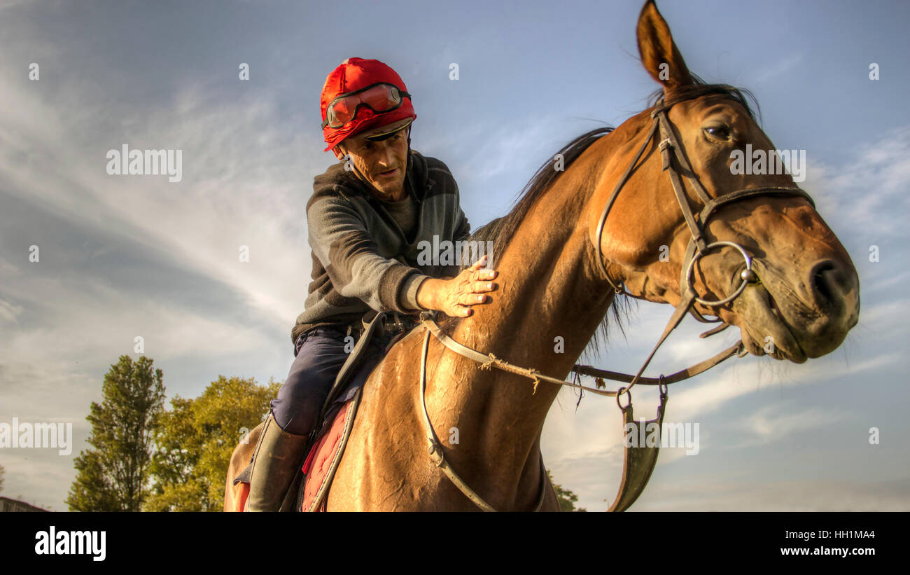 Belgrade Hippodrome, Serbia Jockey Zeljko Limeni Racic calms and