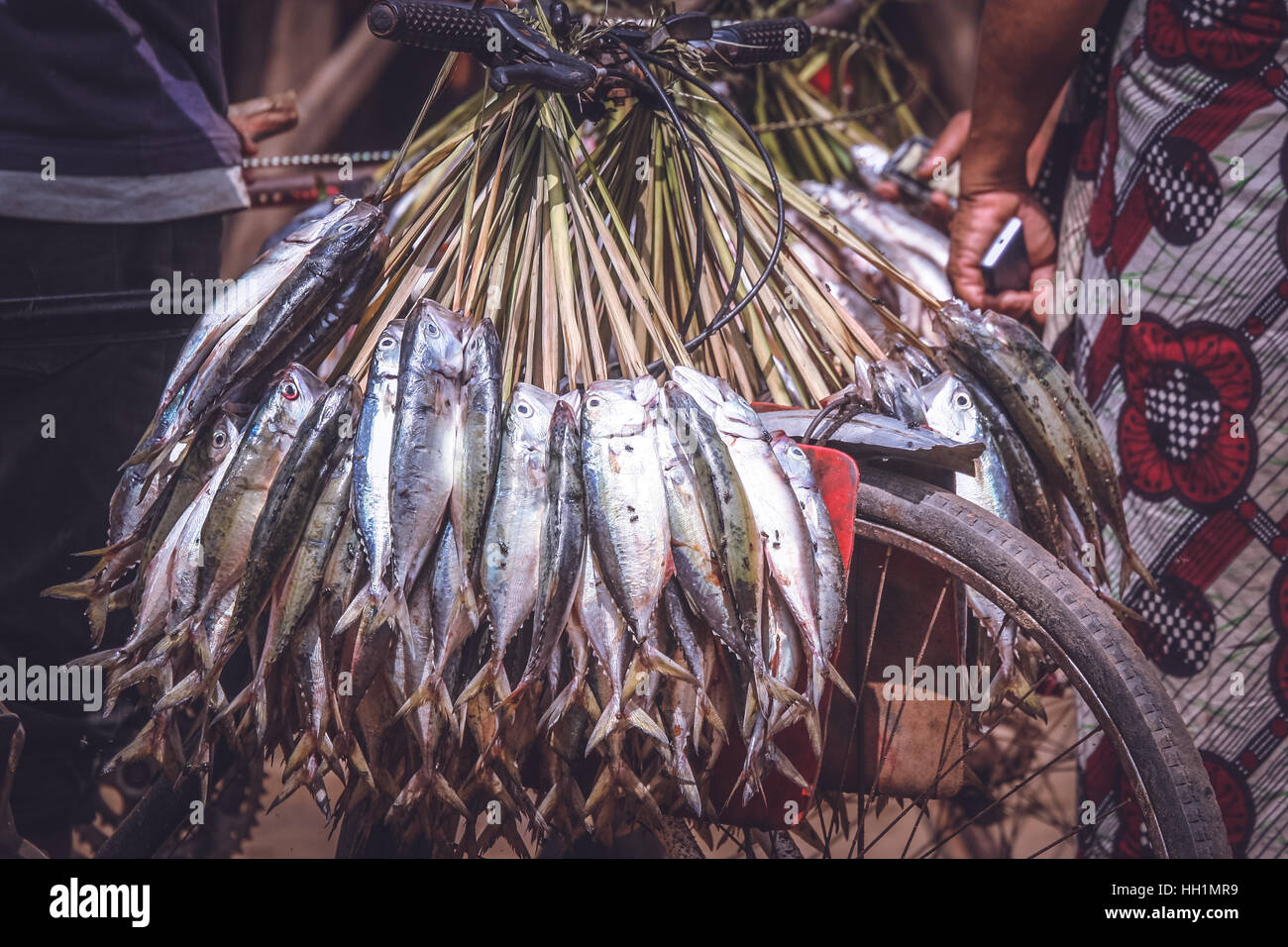 Bunch of fish for sale from a bicycle stand, market, Madagascar Stock Photo