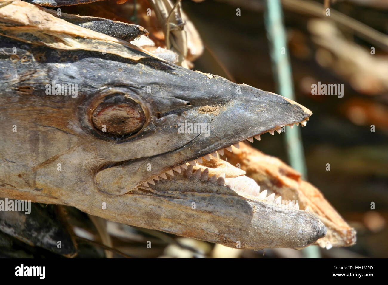 Dried fish for sale in a Madagascar market Stock Photo