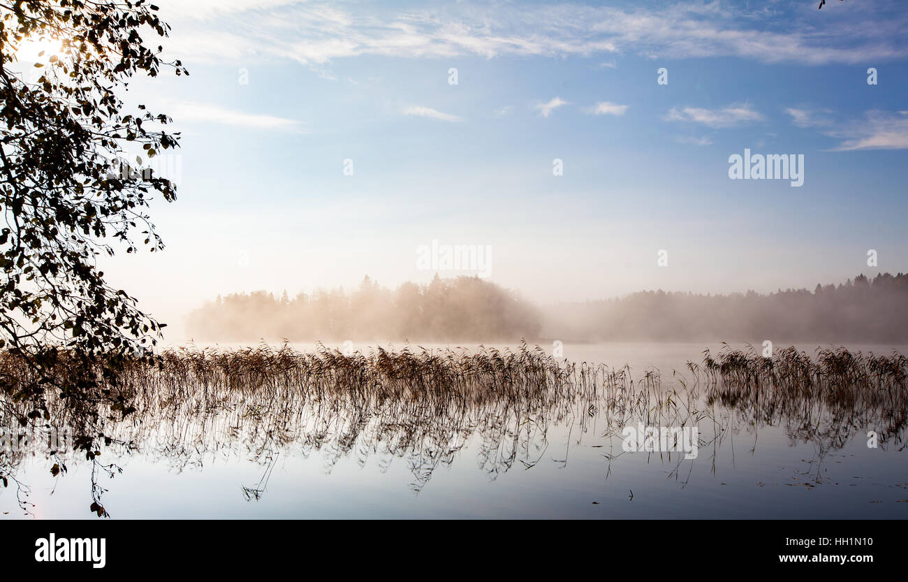 Foggy scene over a lake in the morning Stock Photo - Alamy