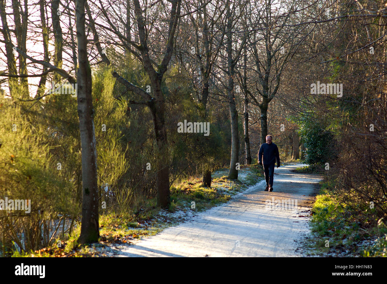 Walker  on the Deeside way at Cults, Aberdeen. Former Royal Deeside Railway line running from Aberdeen to Ballater in Scotland Stock Photo