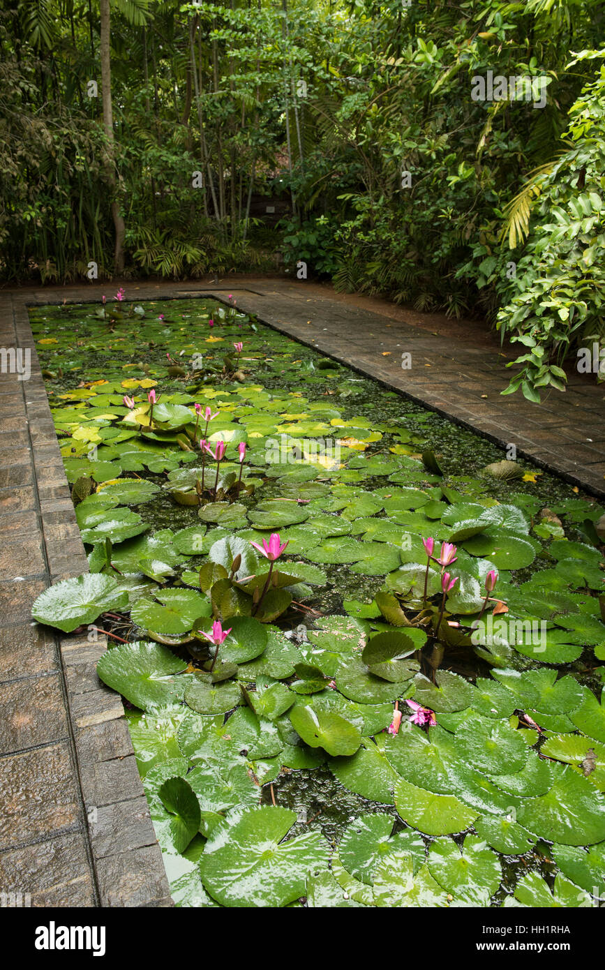 Pond Designs For Gardens In Sri Lanka