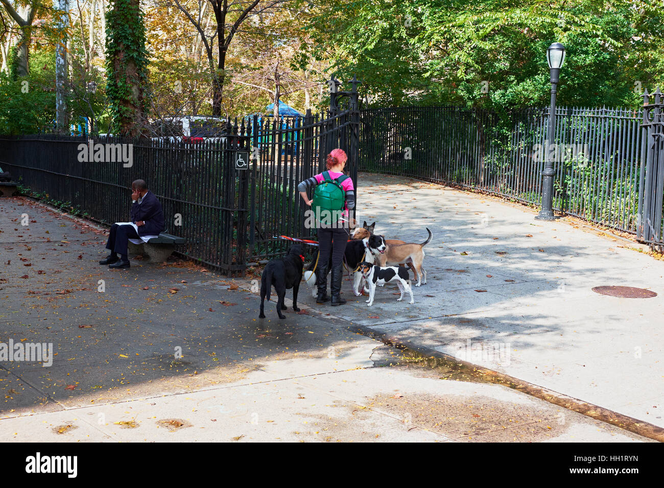 woman dog walker at the entrance of St Vartan's Park on 1st Avenue Stock Photo