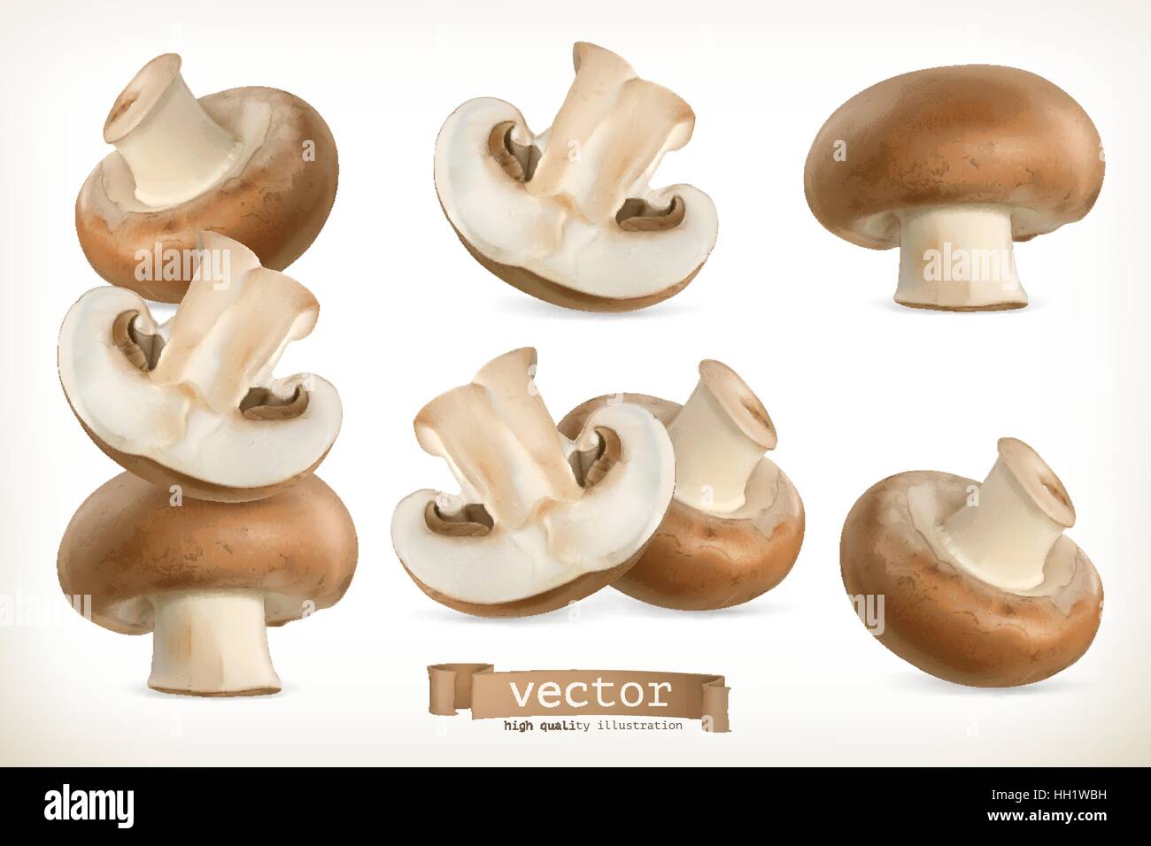 Mushroom cremini illustration Stock Vector Images - Alamy