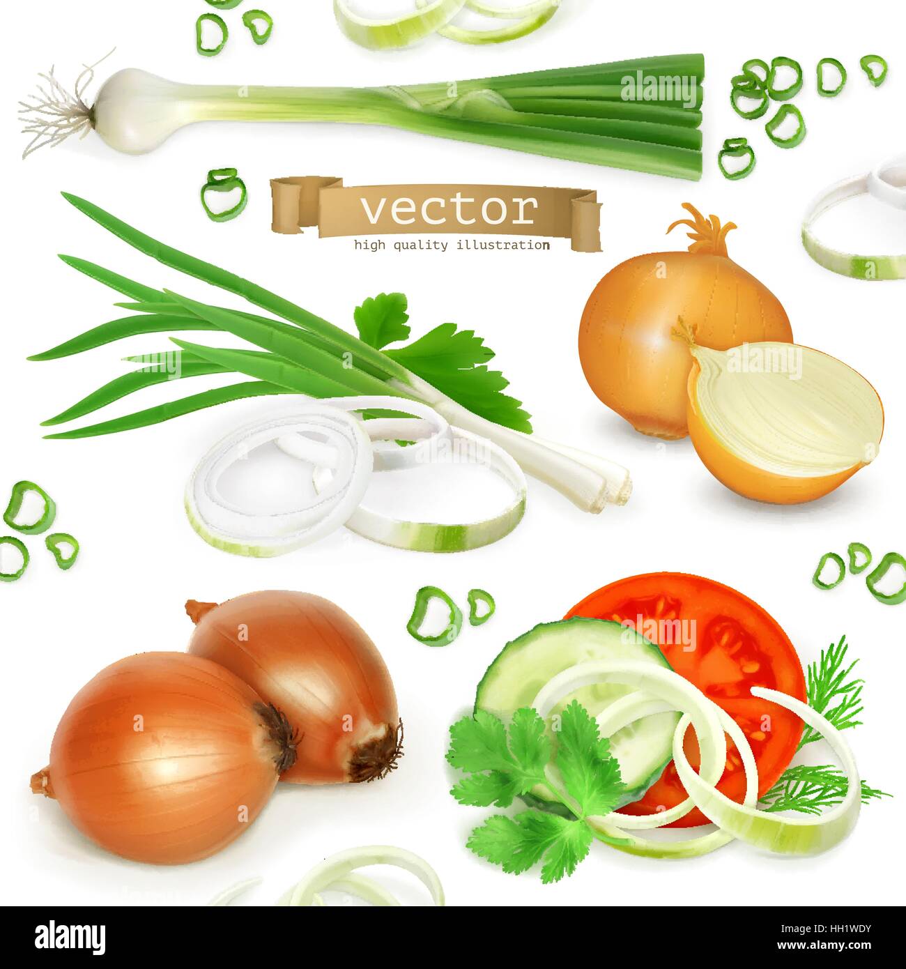 Onion set, realistic vector icons Stock Vector