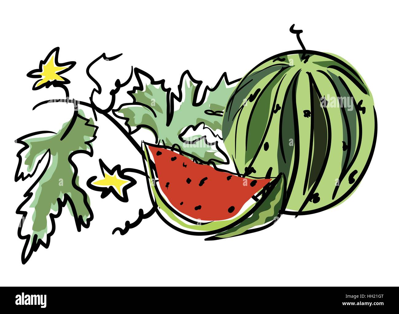 Watermelon white background Stock Vector Images - Alamy