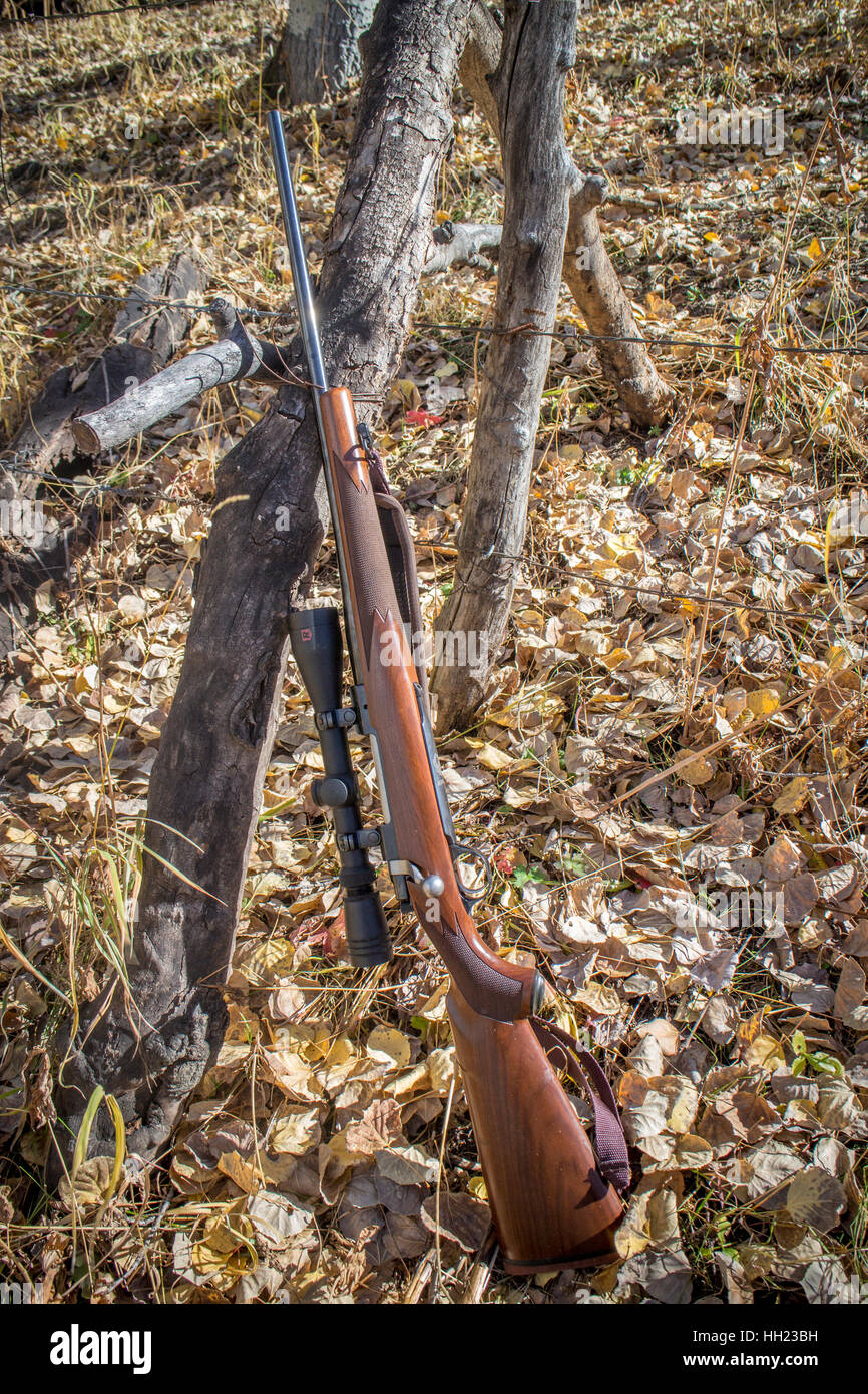 Recreation hunting hires stock photography and images Alamy