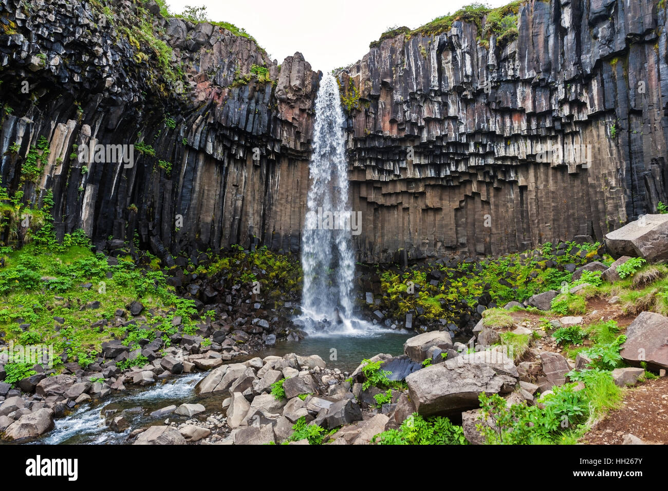 Svartifoss is a waterfall in in Vatnajökull National Park and is one of the most popular sights in the Stock Photo - Alamy