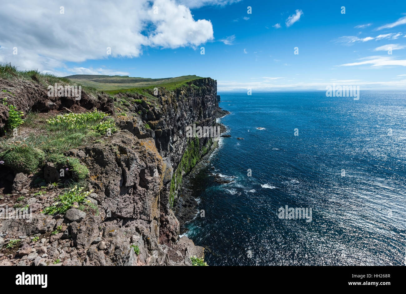 Látrabjarg, is a promontory and the westernmost point in Iceland. The cliffs are home to millions of birds, including puffins. Stock Photo