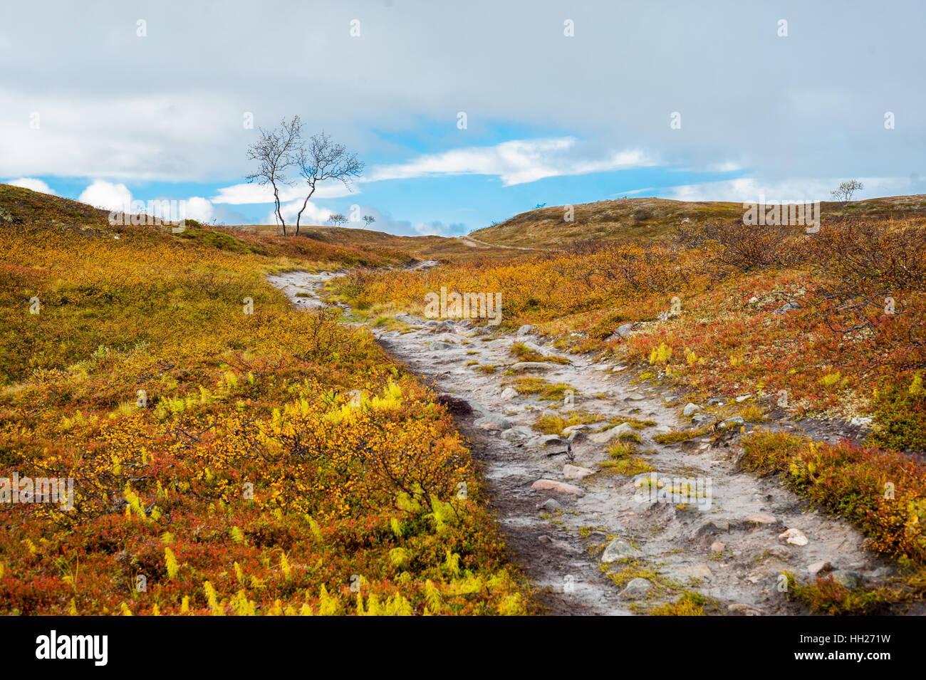 Trail in a barren moorland valley in Alta, Finnmarksvidda mountain plateau, Norway. Stock Photo