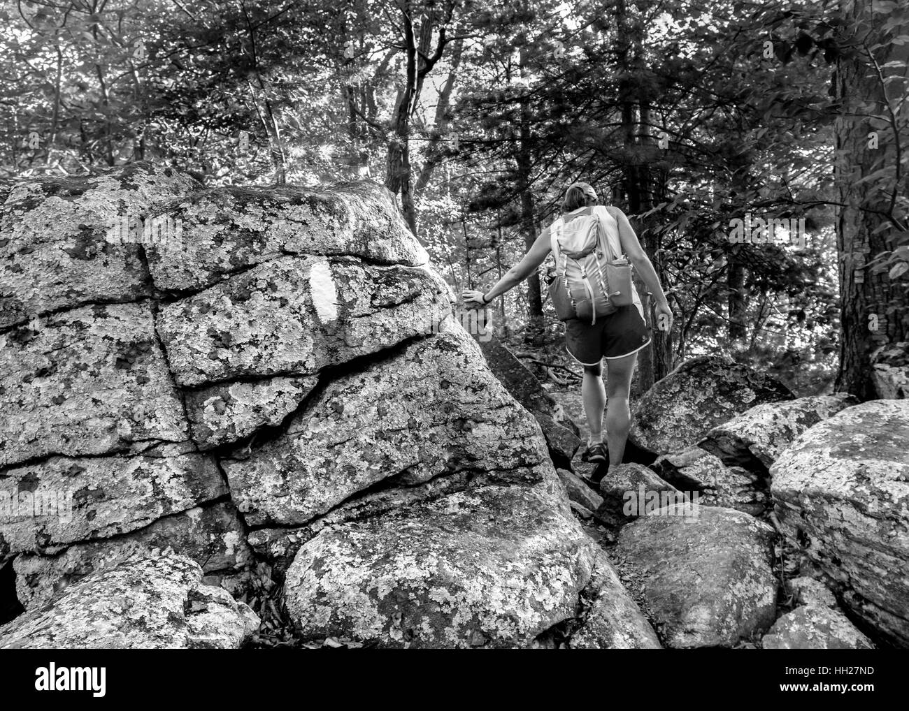 The appalachian trail Black and White Stock Photos & Images - Alamy