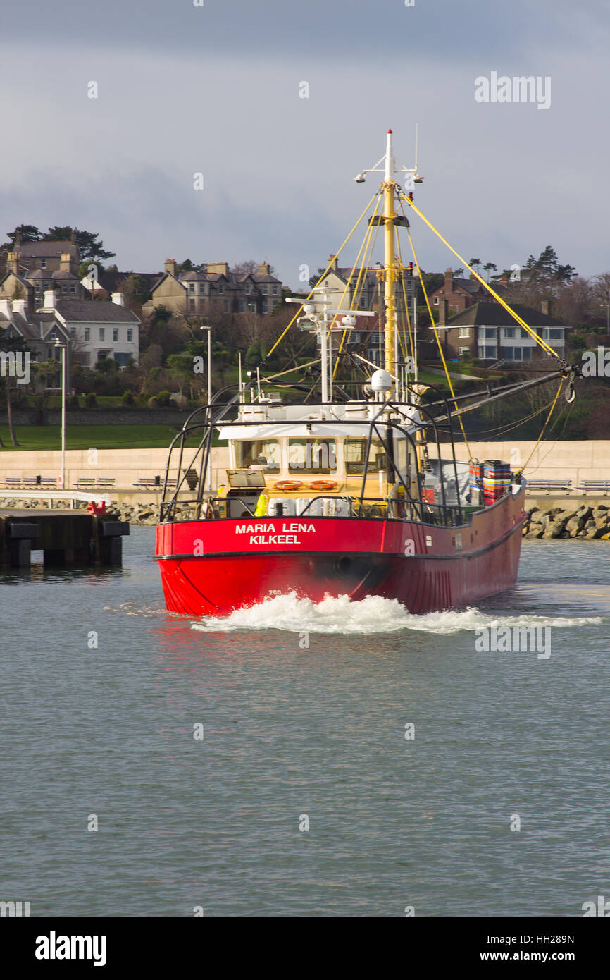 The trawler Maria Lena of Kilkeel manouvres to her berth in the harbor in Bangor Northern Ireland on a pleasent winter's day Stock Photo