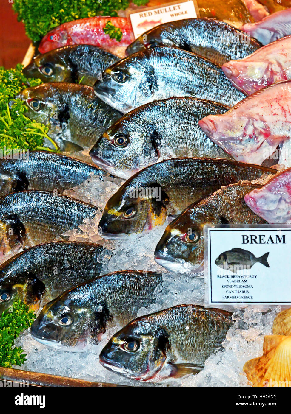 Bream and Red Mullet fishmonger fresh fish in ice Stock Photo