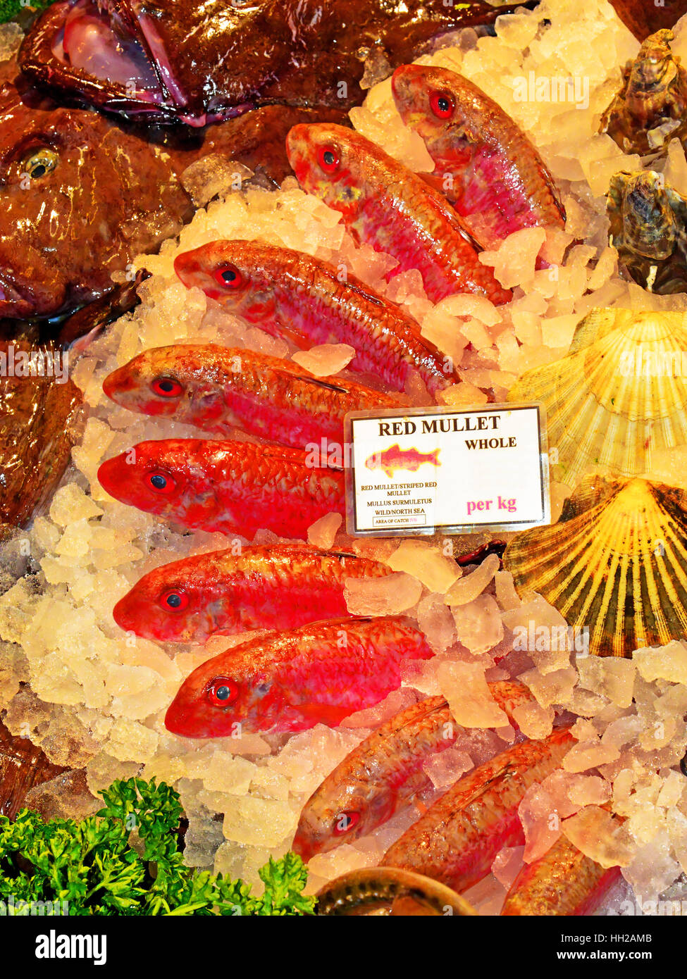 Red Mullet fishmonger fresh fish Stock Photo
