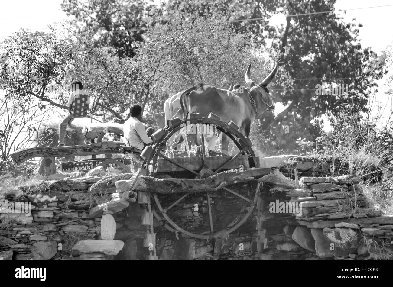 Ancient water-wheel in rural Gujarat, India. Irrigation water for crops was provided by using water raising wheels. Stock Photo