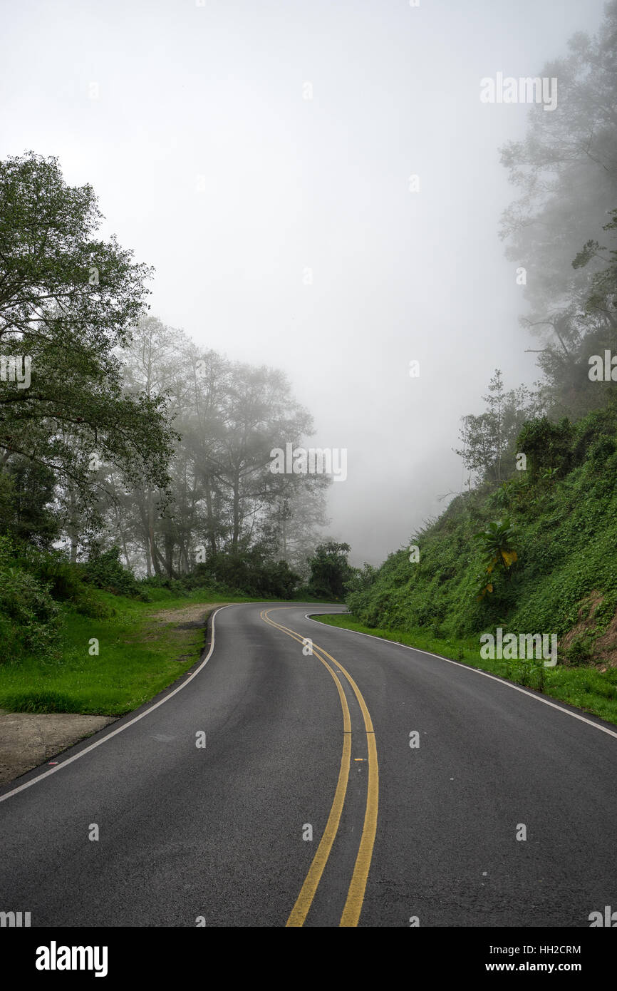 road curve leading into fog in Costa Rica Stock Photo
