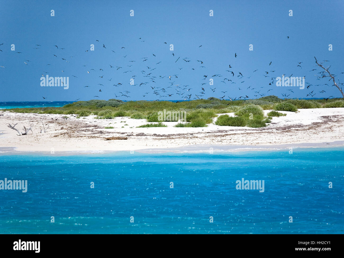 Brilliant blue waters flow between Bush Key and Garden Key in the Dry Tortugas. Bush Key is a bird nesting area and protected-Dry Tortugas, Florida Stock Photo