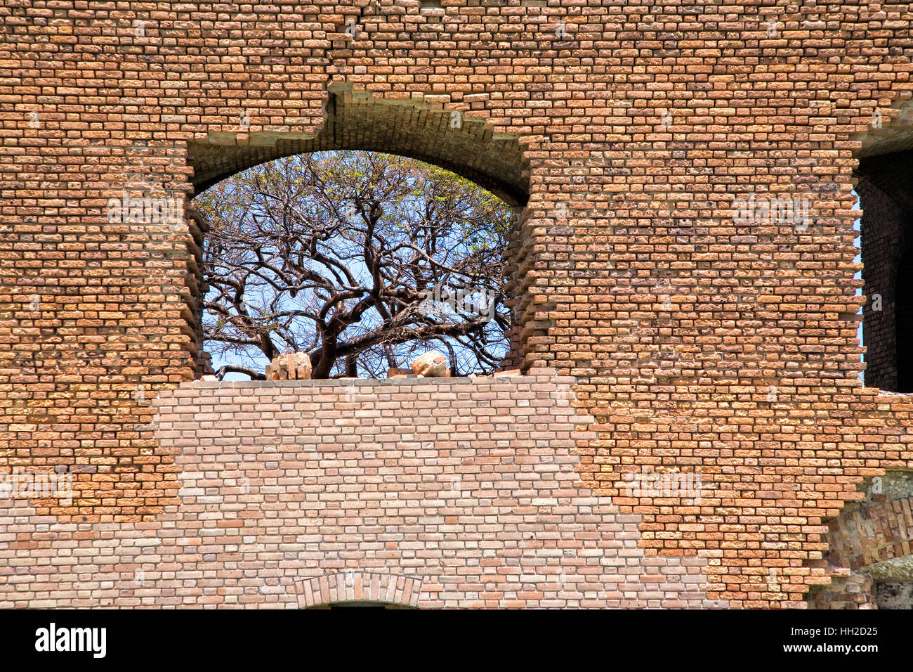 Tree through brick wall window - Fort Jefferson - Dry Tortugas Stock Photo