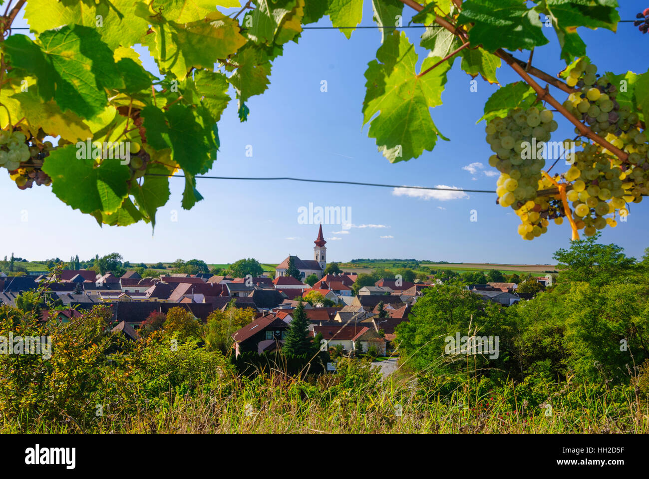 Großriedenthal: view to Großriedenthal, vineyard vineyards Wagram, Weinviertel, Niederösterreich, Lower Austria, Austria Stock Photo