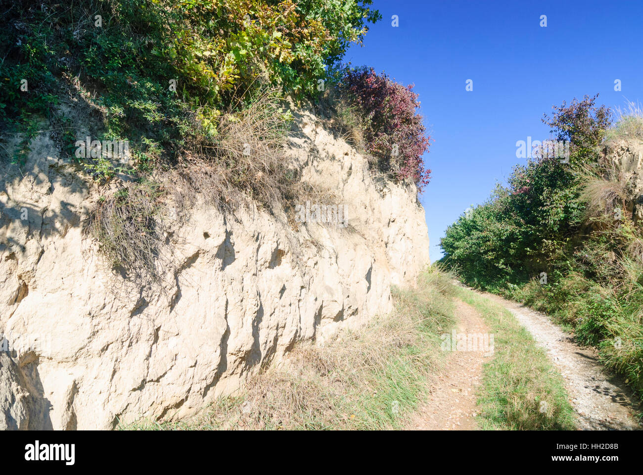 Großriedenthal: way on loess wall in the Wagram, Weinviertel, Niederösterreich, Lower Austria, Austria Stock Photo