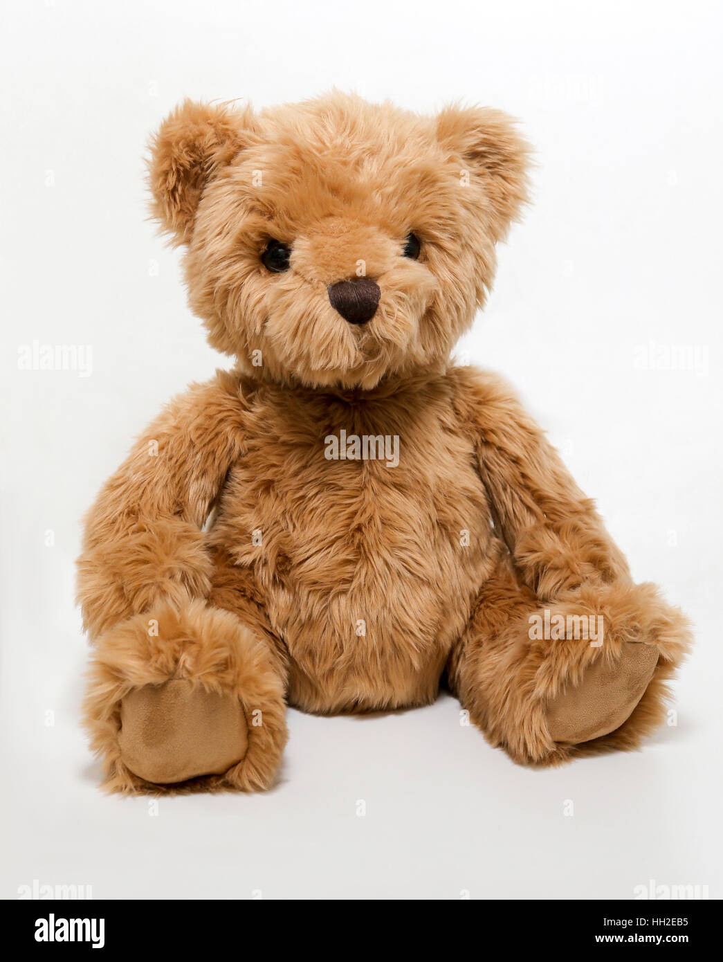 Children's teddy bear toy against a white background Stock Photo
