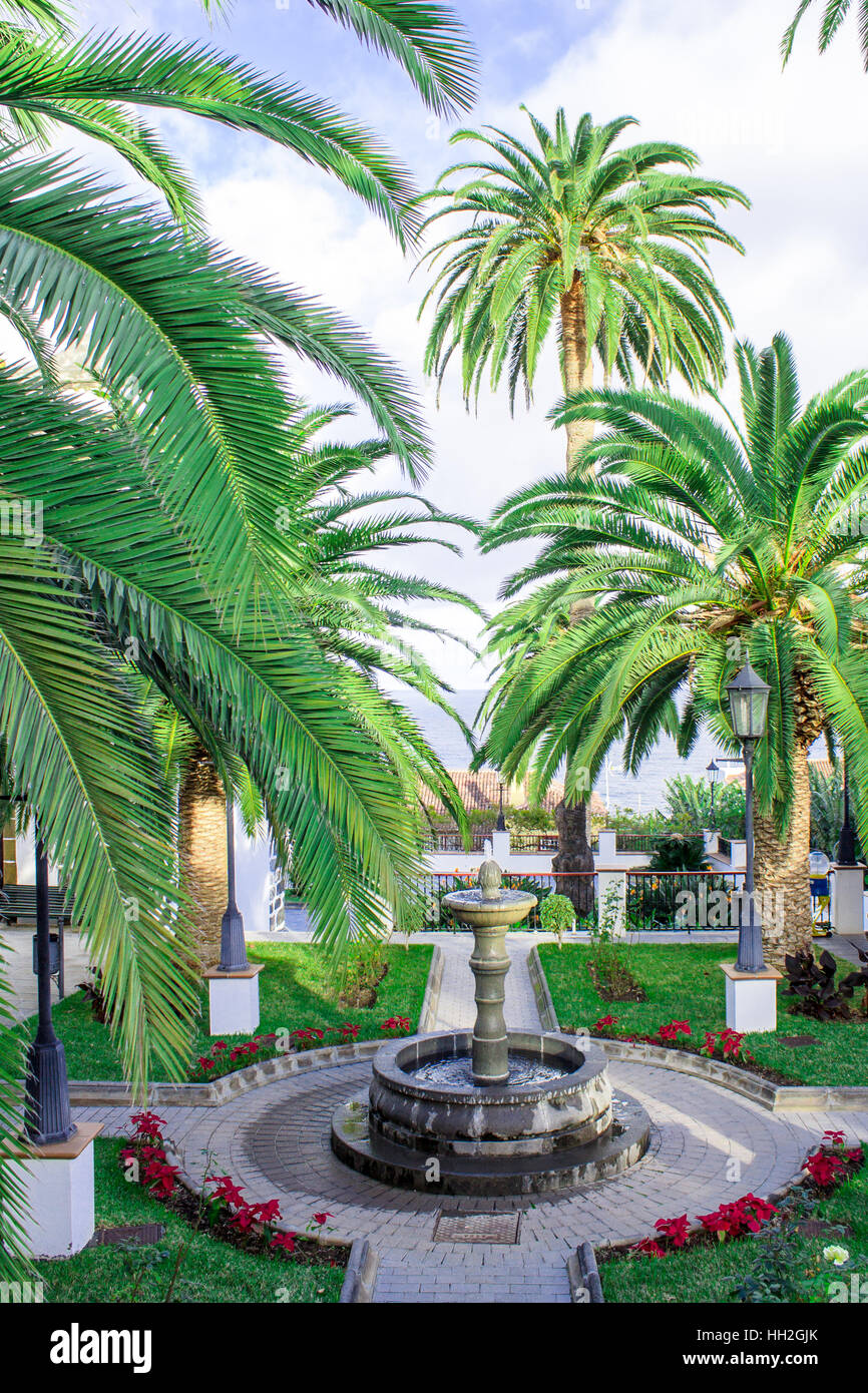 A small local park with palm trees and a fountain in La Palma, Canary Islands, Spain. Stock Photo