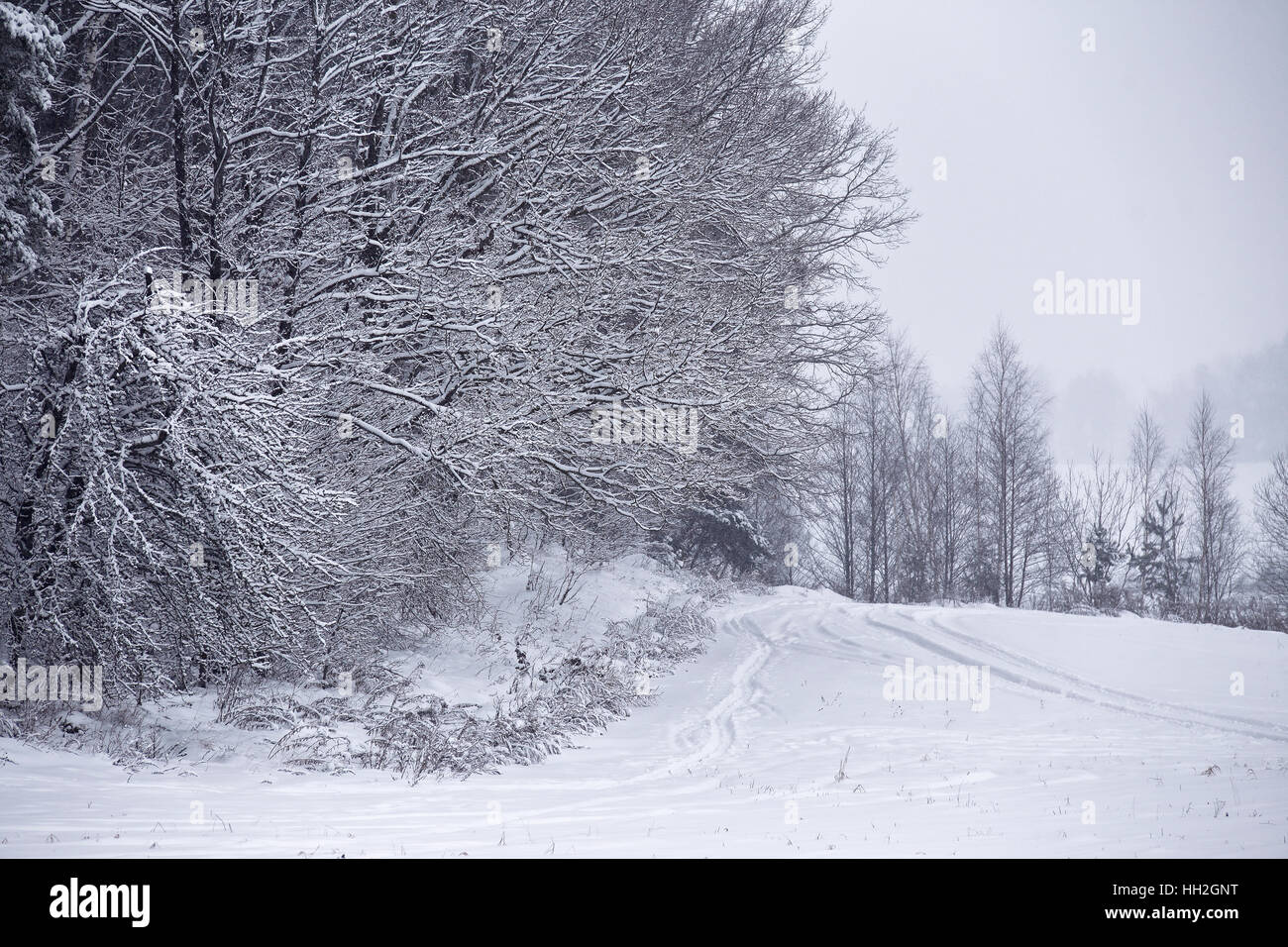 Snowfall and sleet on winter road. Ice snowy road. Winter snowstorm ...