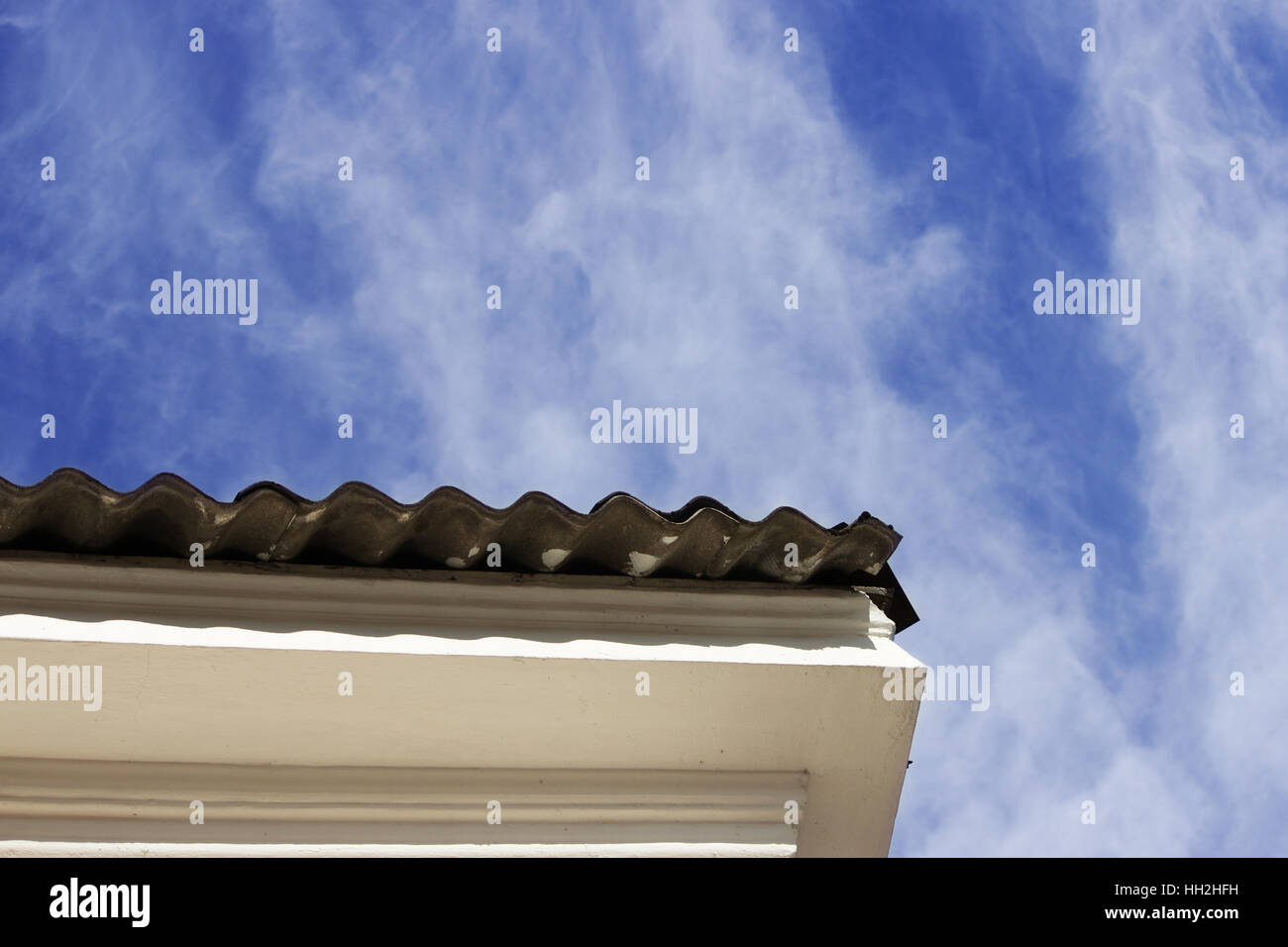 canopy roof of the house with a wavy roofing material on background