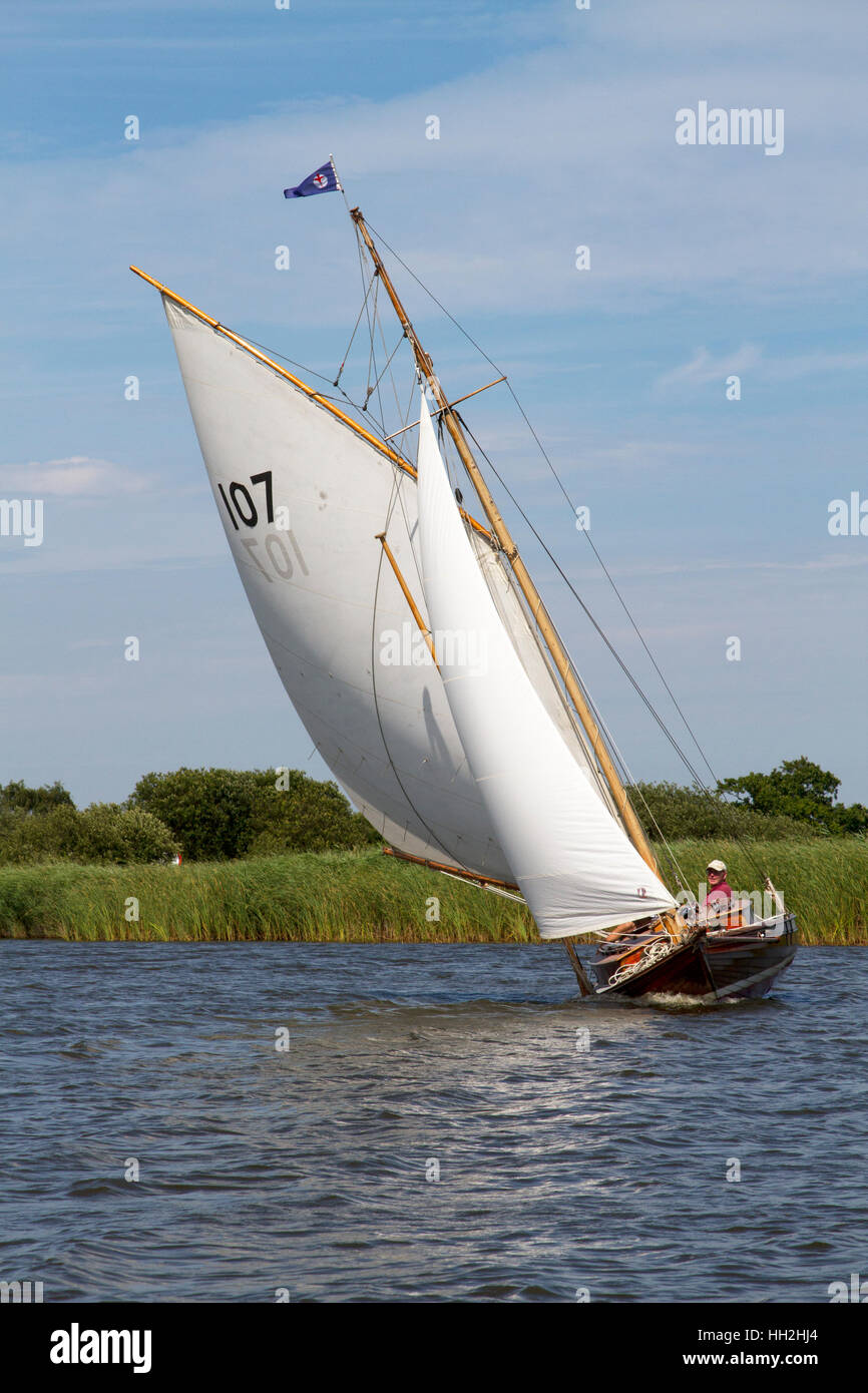 Sailing on the Norfolk Broads Stock Photo Alamy