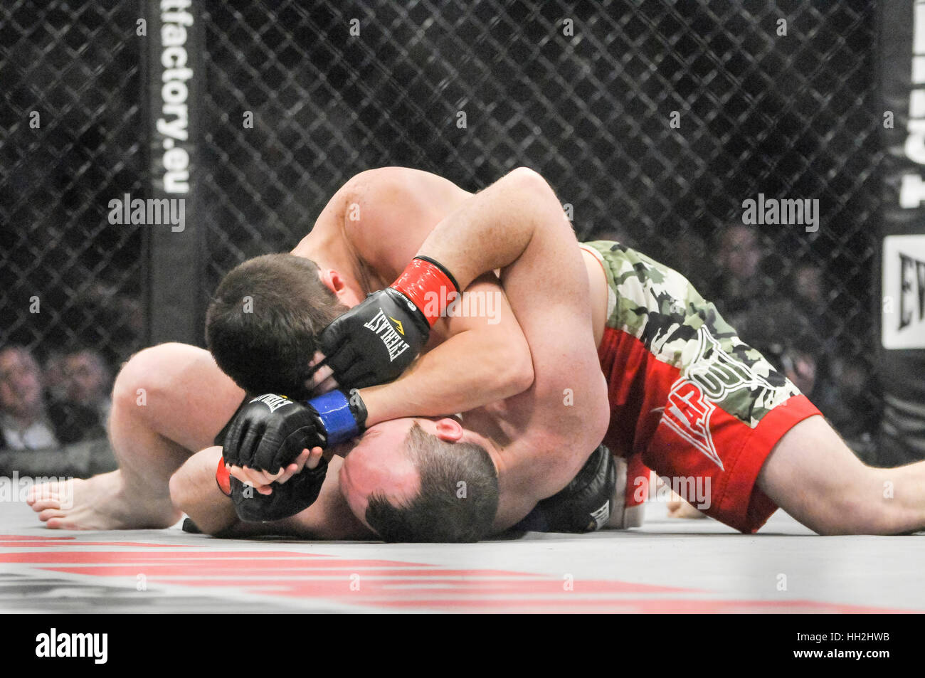 Two MMA cage fighers in the ring wrestling on the floor Stock Photo Alamy
