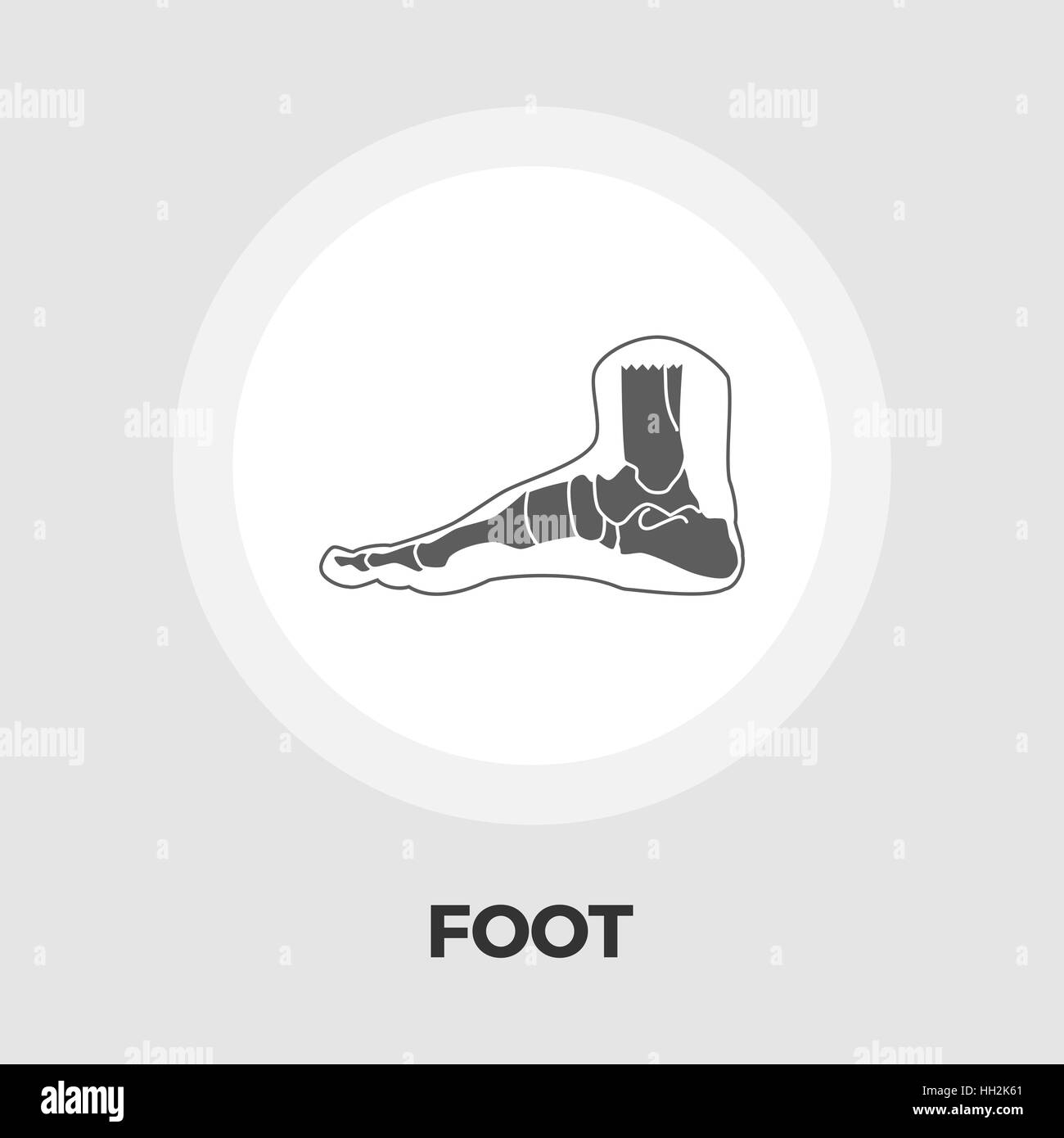 Foot anatomy icon vector. Flat icon isolated on the white background ...