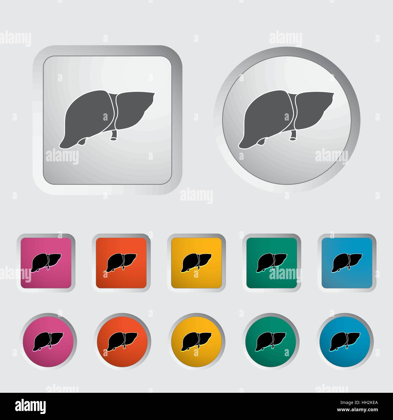 Human spleen icon vector vectors hi-res stock photography and images ...