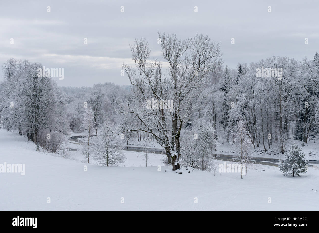 Winter day landscape with river and forest Stock Photo - Alamy